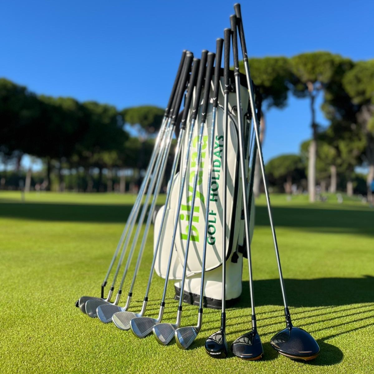 https://wwww.bilyanagolf.com/files/imaj/clubhire1.jpg